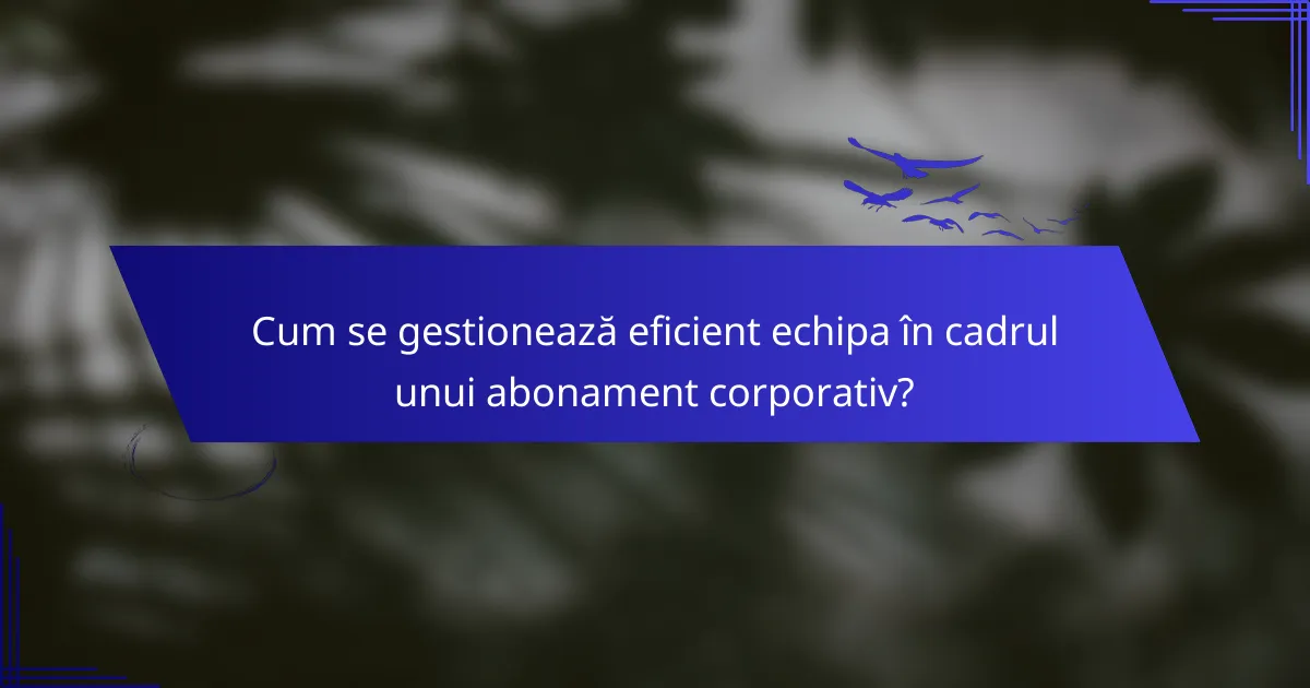 Cum se gestionează eficient echipa în cadrul unui abonament corporativ?