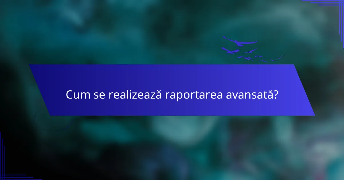 Cum se realizează raportarea avansată?
