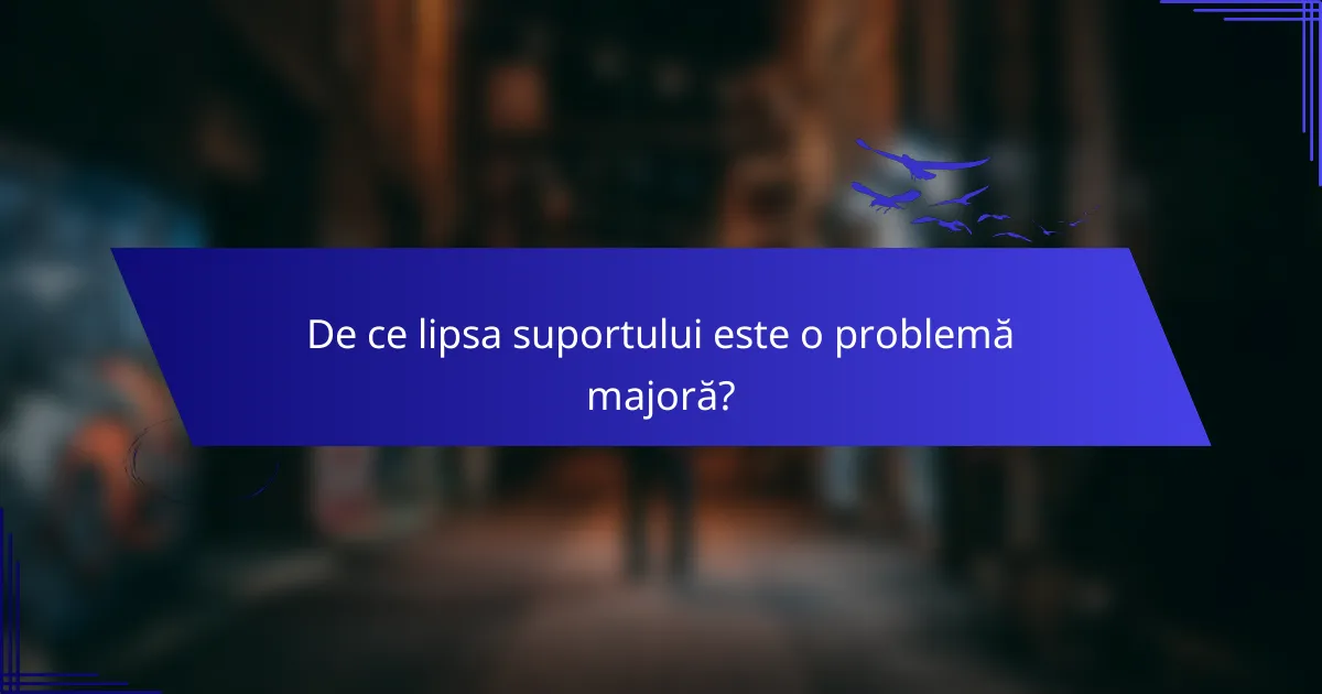 De ce lipsa suportului este o problemă majoră?